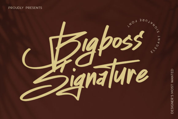 Bigboss Signature: A Designer's Review for Real Branding
