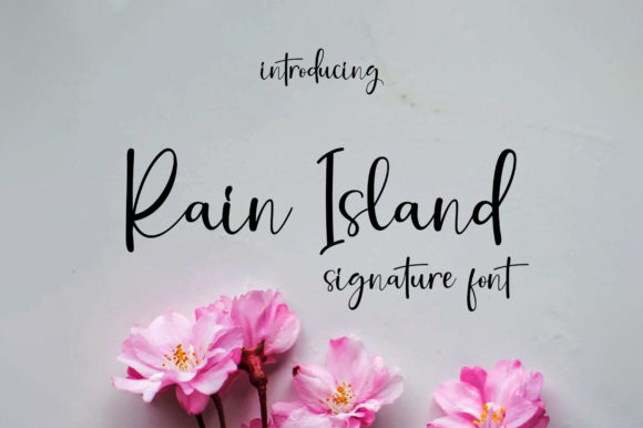 Rain Island Font Review: A Timeless Script for Web Design